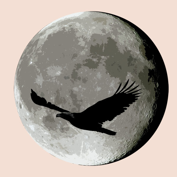 Eagle/moon image